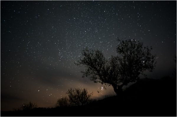 Cielo estrellado en la Sierra de María.